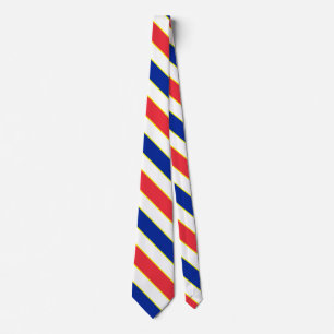 Frankrike Flagga Färg Elegant Patriotic Neck Tie Slips