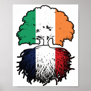 Frankrike Fransk Irish Ireland Träd Roots Flagga Poster
