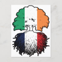 Frankrike Fransk Irish Ireland Träd Roots Flagga