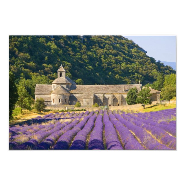 Frankrike, Gordes. Cisterciankloster Fototryck (Framsidan)