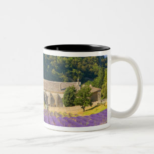 Frankrike, Gordes. Cisterciankloster Två-Tonad Mugg