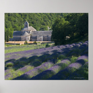 Frankrike, Gordes, Senaque Abbey, lavender fält Poster