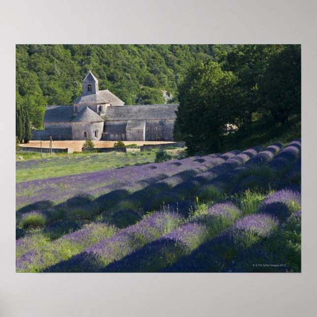 Frankrike, Gordes, Senaque Abbey, lavender fält Poster (Framsidan)