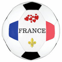 FRANKRIKE land flagga fleur de lis