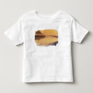 FRANKRIKE, Normandie Mont St. Michel. Morgonljus T-shirt