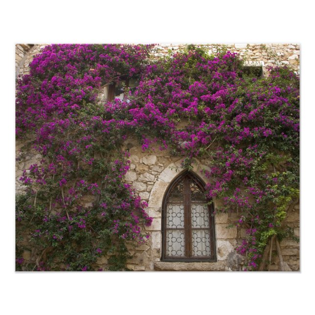 Frankrike, Provence, Eze. Bright rosa Fototryck (Framsidan)