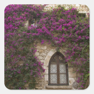 Frankrike, Provence, Eze. Ljus rosa Fyrkantigt Klistermärke