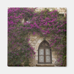 Frankrike, Provence, Eze. Ljus rosa Magnet