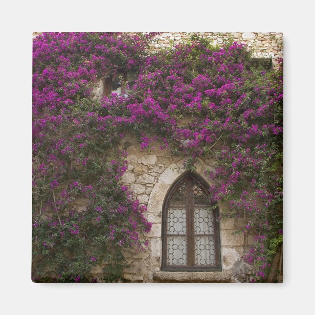 Frankrike, Provence, Eze. Ljus rosa Magnet (Framsidan)