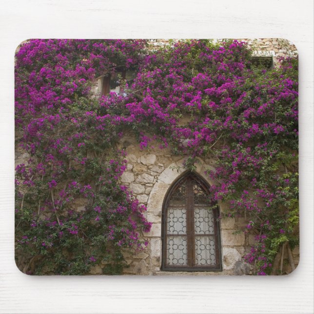 Frankrike, Provence, Eze. Ljus rosa Musmatta (Framsidan)