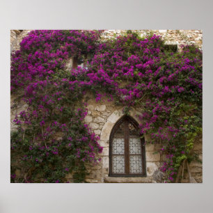 Frankrike, Provence, Eze. Ljus rosa Poster