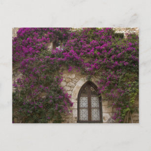 Frankrike, Provence, Eze. Ljus rosa Vykort