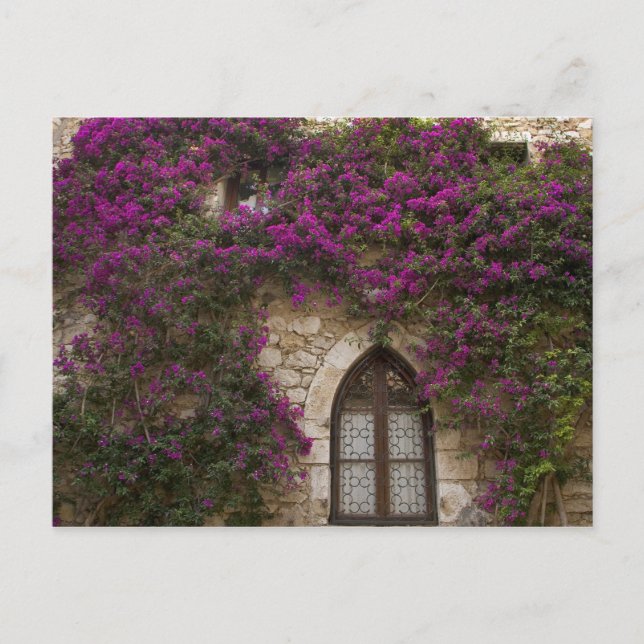 Frankrike, Provence, Eze. Ljus rosa Vykort (Framsida)