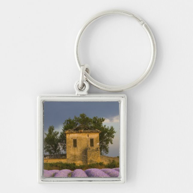 Frankrike, Provence. Fält med lavendel och Fyrkantig Silverfärgad Nyckelring (Framsidan)