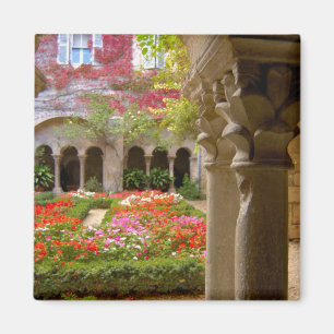 Frankrike, St. Remy de Provence, klostergård vid Magnet