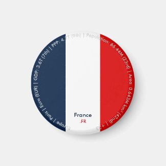 Frankrikes flaggmagnet magnet