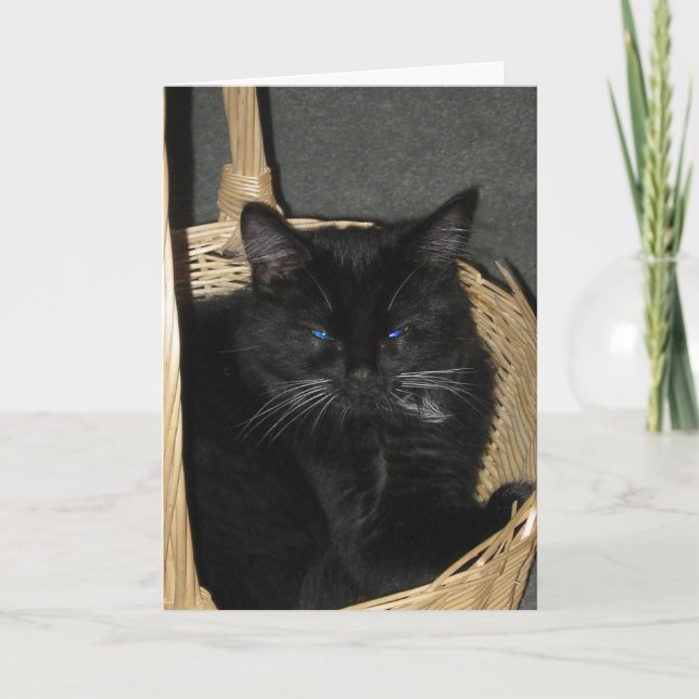 Frankt kattungehälsningkort kort (Framsida)