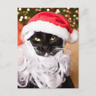 Franny Claus Ledsen Santa Kattunge Helg Vykort