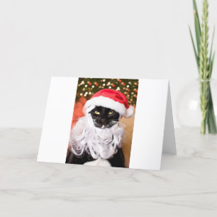 Franny Claus ledsen Santa kattunge Helgkort