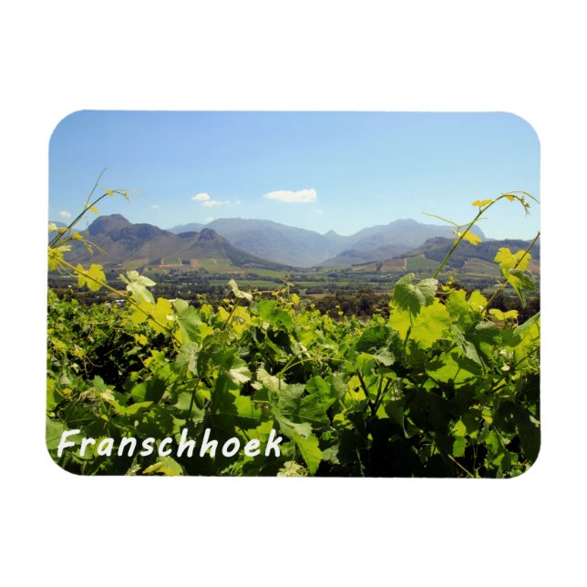 Franschhoek vingårdar magnet (Horisontell)