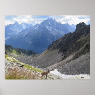 Fransk Alpernas Chamonix Ibex Poster