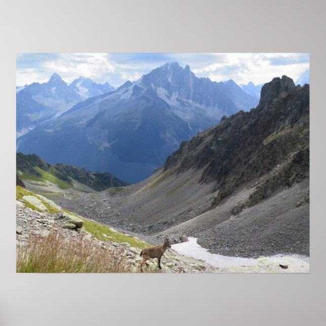 Fransk Alpernas Chamonix Ibex Poster (Framsidan)