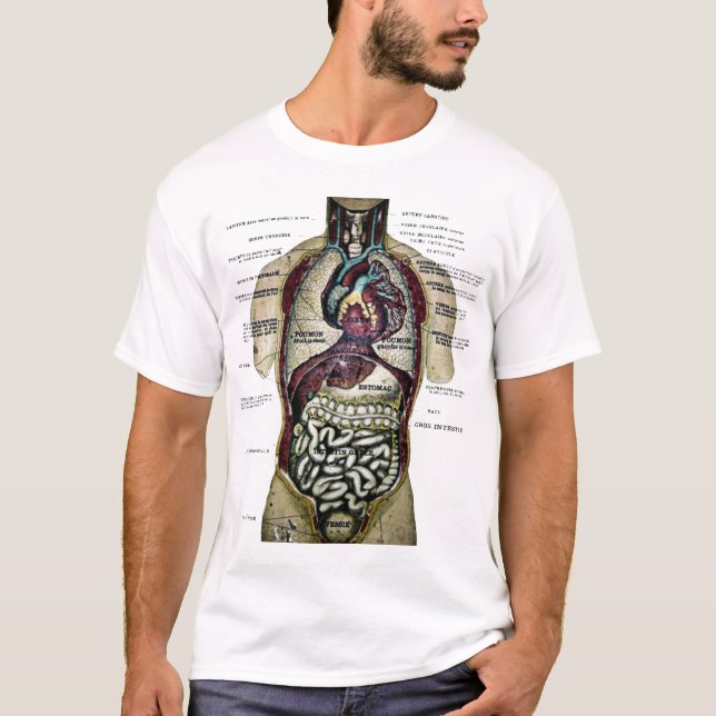 Fransk anatomiskjorta för vintage tee (Framsida)