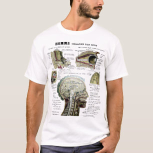 Fransk anatomiskjorta för vintage tröja