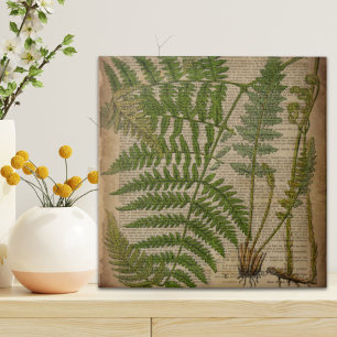 fransk av lövblad, botaniskt tryckfat kakelplatta