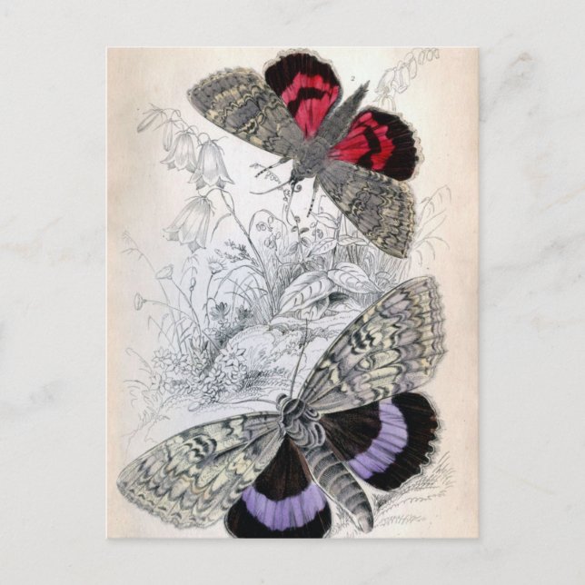 Fransk av vintage-miniatyrfilm - vykort (Framsida)