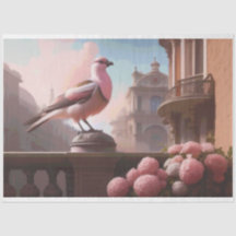 Fransk Bird Carnations