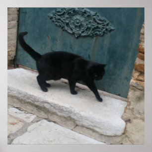 Fransk Black Cat Nice Frankrike Print Poster