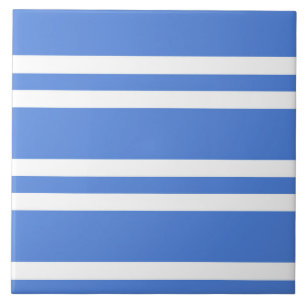 Fransk Blue and White Rand Kakelplatta