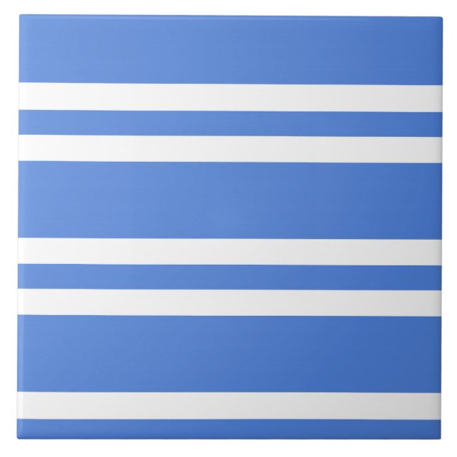 Fransk Blue and White Rand Kakelplatta (Framsidan)