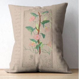Fransk Botanical Illustration Bindweed Prydnadskudde