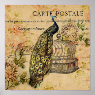 fransk botanisk art nouveauvintagepåfågel poster