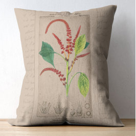 Fransk Botanisk Illustration Amaranthus Prydnadskudde