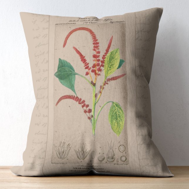 Fransk Botanisk Illustration Amaranthus Prydnadskudde (Skapare uppladdad)