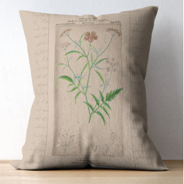 Fransk botanisk illustration Hartwort Prydnadskudde