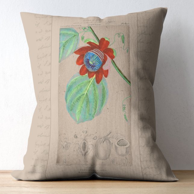 Fransk Botanisk illustration Passionblomma Prydnadskudde (Skapare uppladdad)