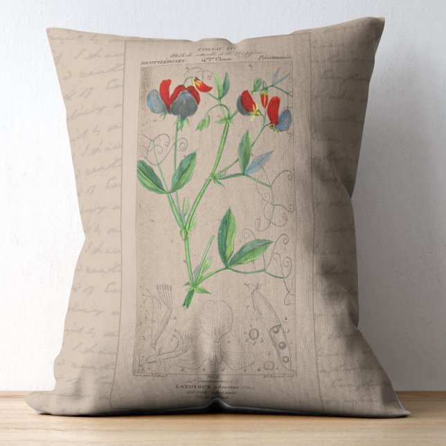 Fransk Botanisk Illustration Sötpea Prydnadskudde (Skapare uppladdad)
