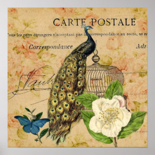 fransk botanisk påfågel för poster