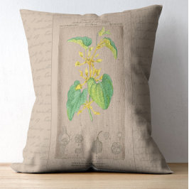 Fransk Botaniskt Illustration Birthwort Prydnadskudde