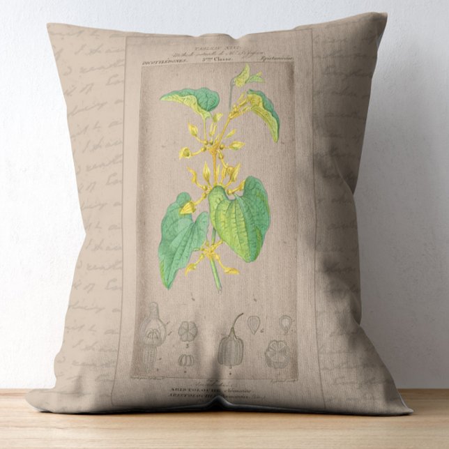 Fransk Botaniskt Illustration Birthwort Prydnadskudde (Skapare uppladdad)