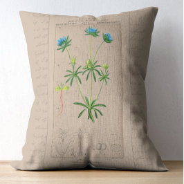 Fransk Botaniskt Illustration Blue Woodruff Prydnadskudde