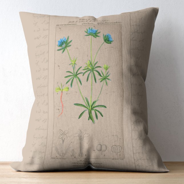 Fransk Botaniskt Illustration Blue Woodruff Prydnadskudde (Skapare uppladdad)