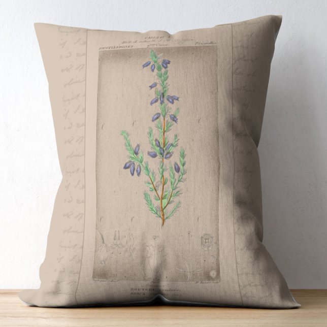 Fransk Botaniskt Illustration-cellhuvud Prydnadskudde (Skapare uppladdad)