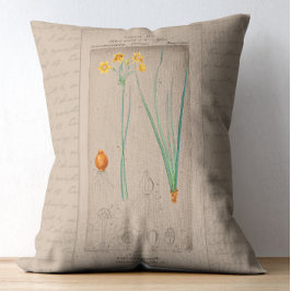 Fransk botaniskt illustration Daffodil Prydnadskudde