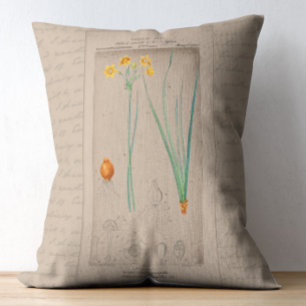 Fransk botaniskt illustration Daffodil Prydnadskudde