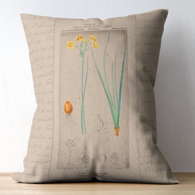 Fransk botaniskt illustration Daffodil Prydnadskudde (Skapare uppladdad)